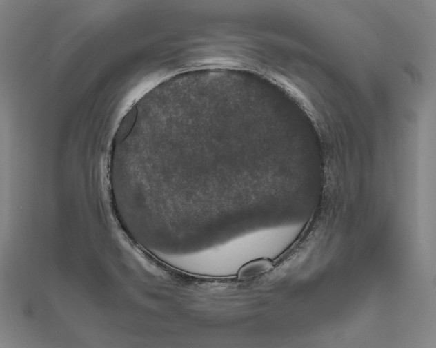 X0000111651373200908141242