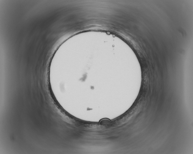 X0000111651375200908141242
