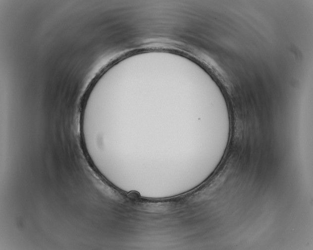 X0000111651376200908141242