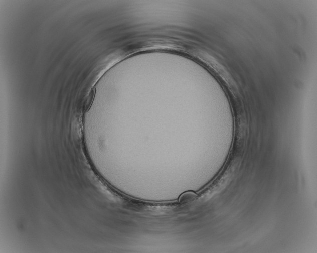 X0000111651377200908141242