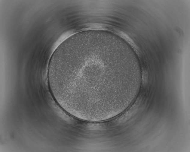 X0000111651378200908141242