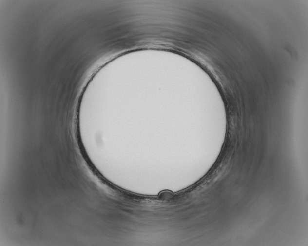 X0000111651379200908141242