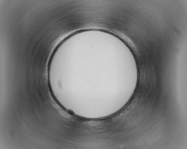X0000111651380200908141242