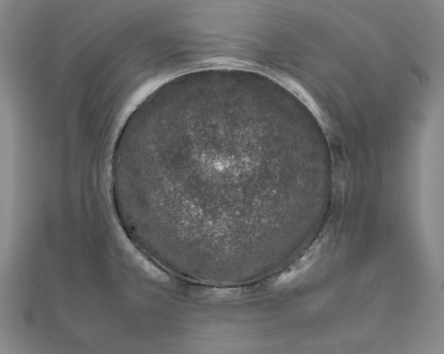 X0000111651381200908141242