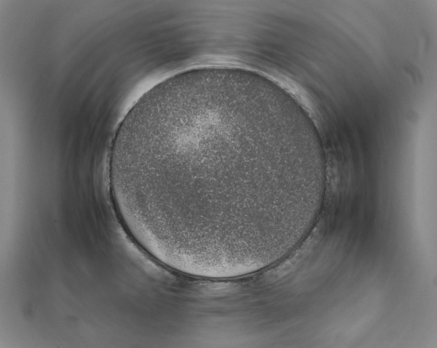 X0000111651382200908141242