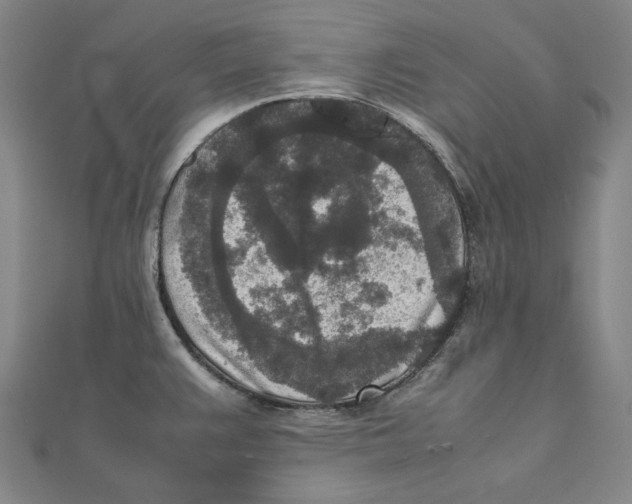 X0000111651383200908141242