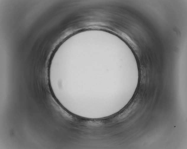 X0000111651384200908141242