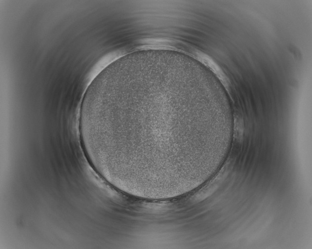 X0000111651386200908141242