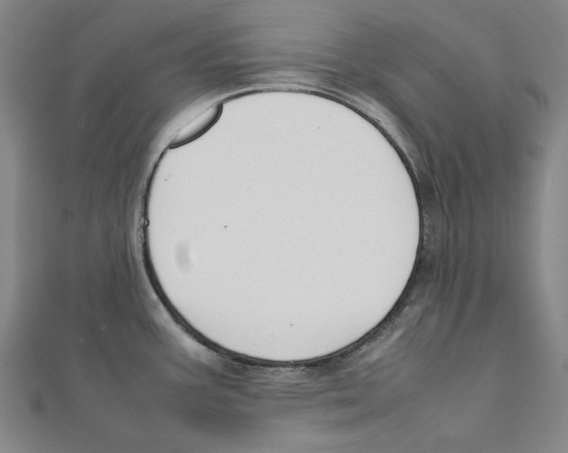 X0000111651387200908141242