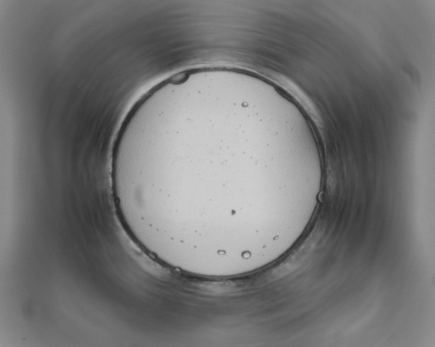 X0000111651388200908141242