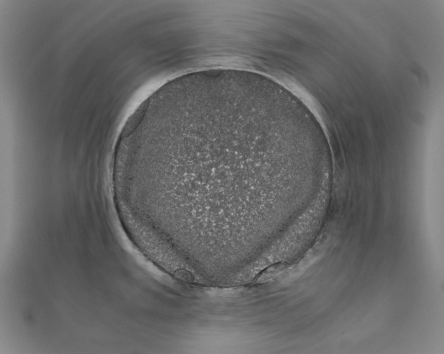 X0000111651389200908141242