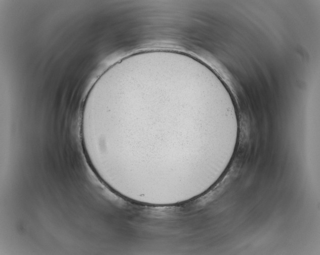 X0000111651390200908141242