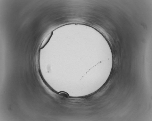 X0000111651391200908141241