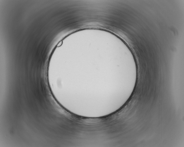 X0000111651392200908141241