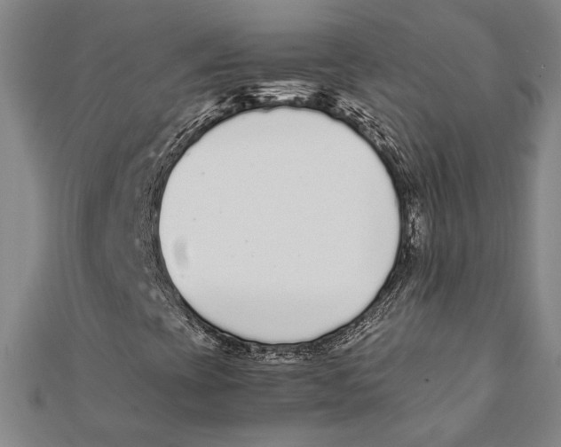 X0000111651393200908141241