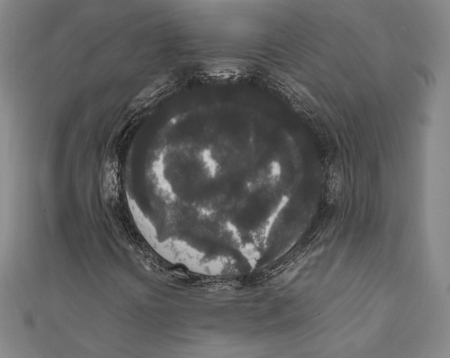X0000111651394200908141241