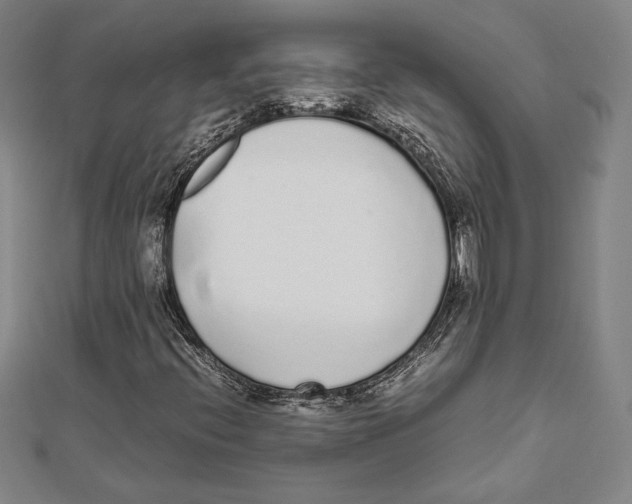 X0000111651396200908141241