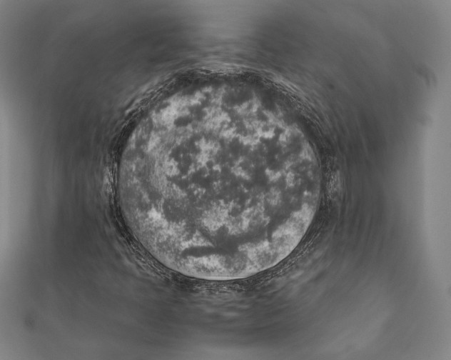 X0000111651397200908141241