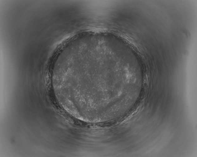 X0000111651398200908141241