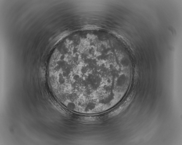 X0000111651401200908141241
