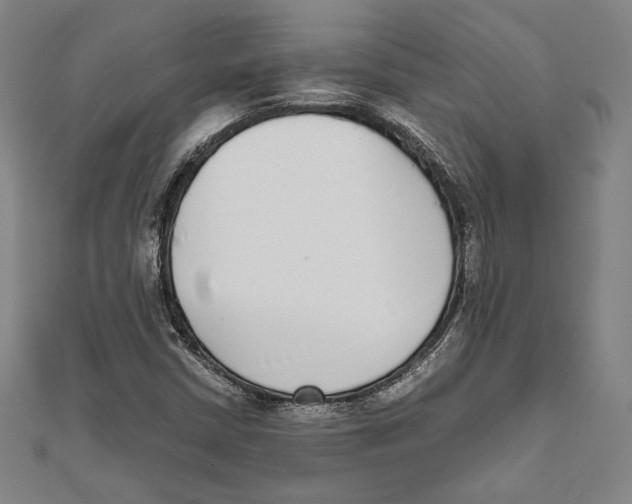 X0000111651402200908141241