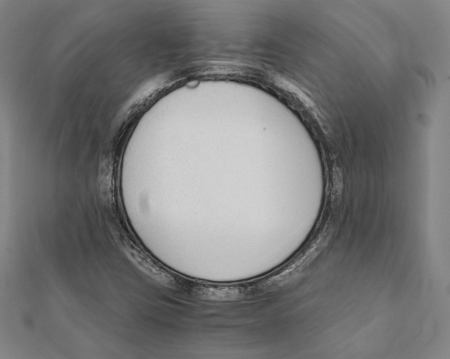 X0000111651403200908141241