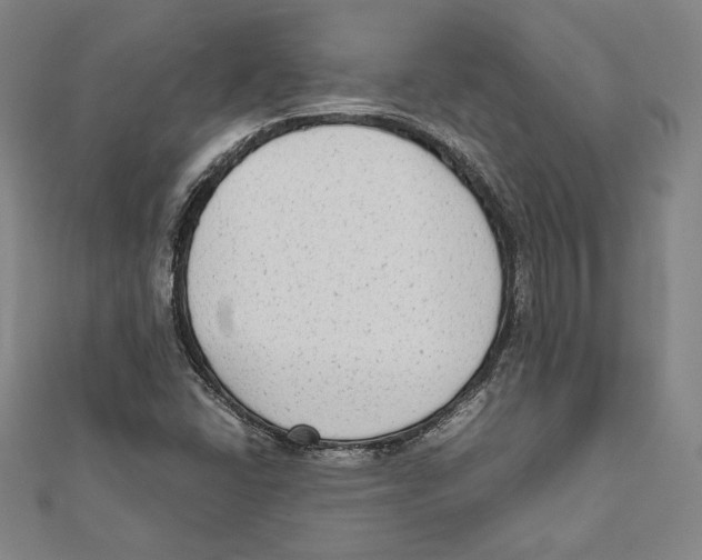 X0000111651406200908141241