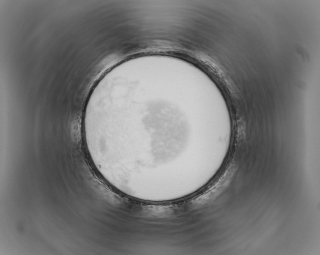 X0000111651409200908141241
