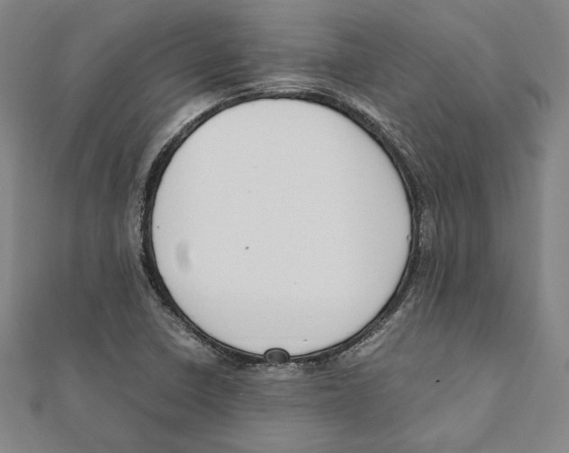 X0000111651410200908141241