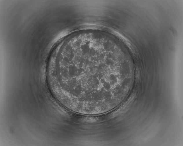 X0000111651411200908141241