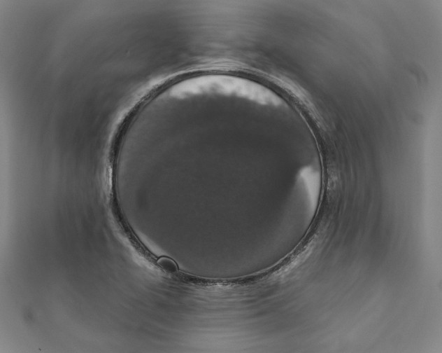 X0000111651414200908141241