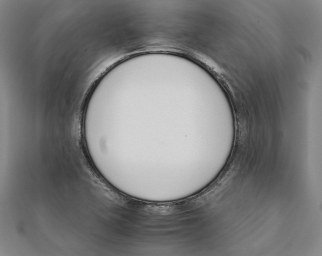 X0000111651415200908141241