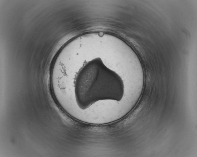 X0000111651418200908141241