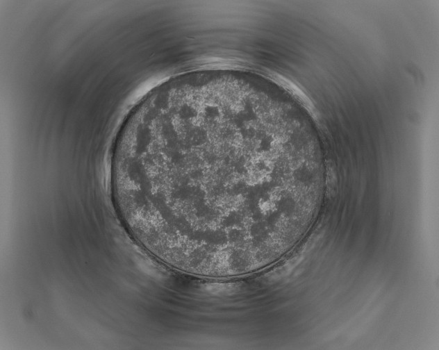 X0000111651419200908141241