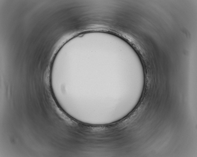 X0000111651421200908141241