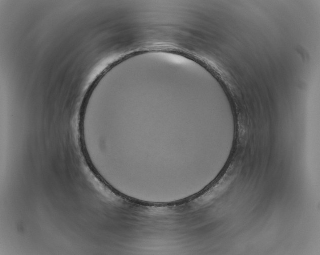 X0000111651422200908141241