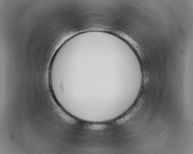 X0000111651423200908141241