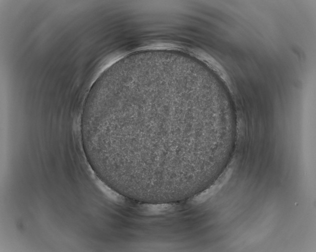 X0000111651425200908141241