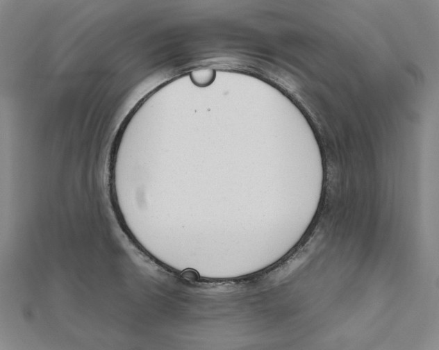 X0000111651426200908141241