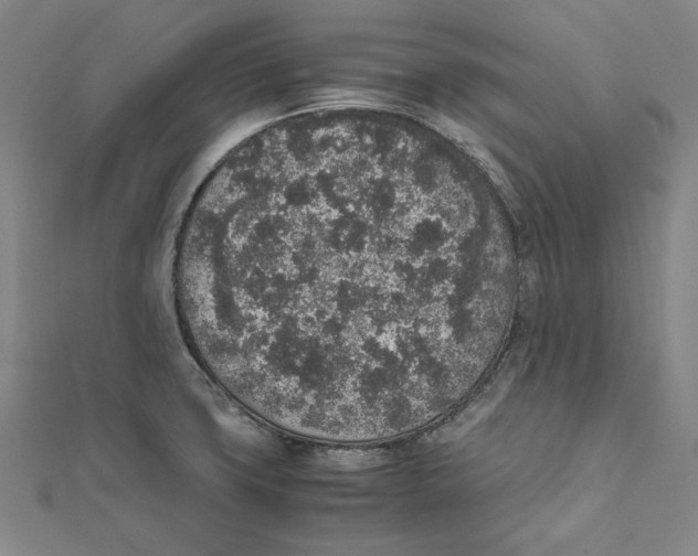 X0000111651427200908141241