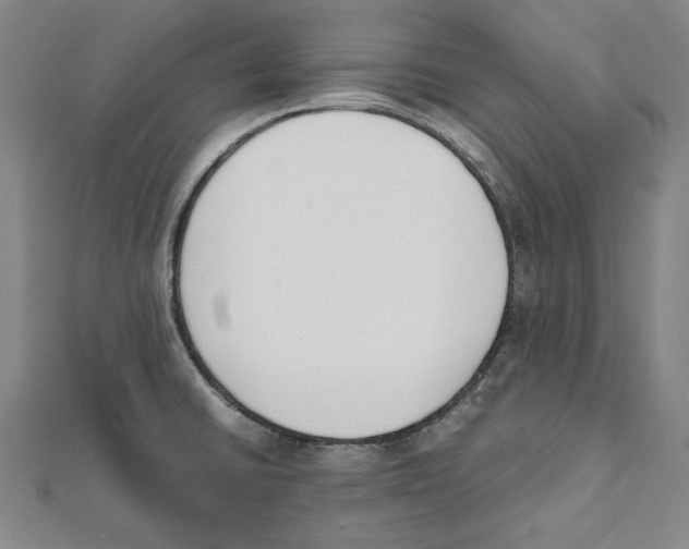 X0000111651430200908141241