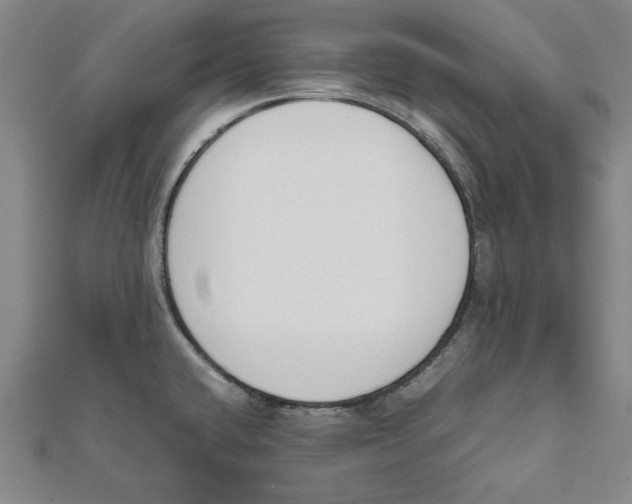 X0000111651432200908141241