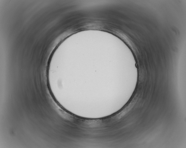 X0000111651434200908141241