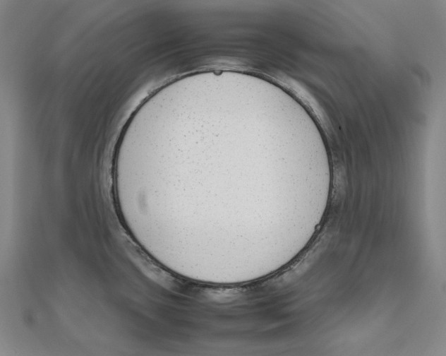 X0000111651435200908141241