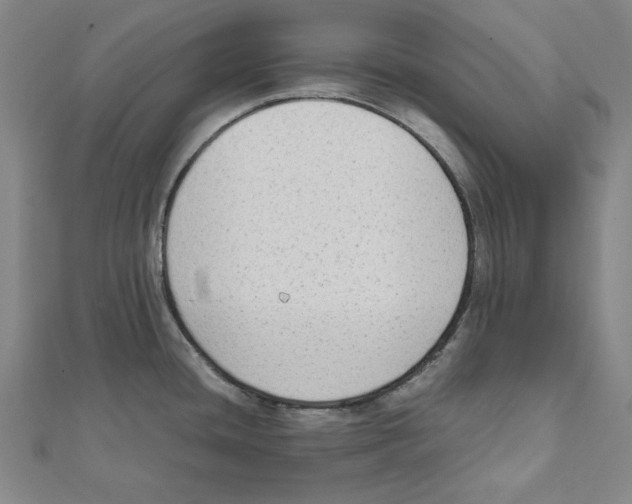 X0000111651436200908141241