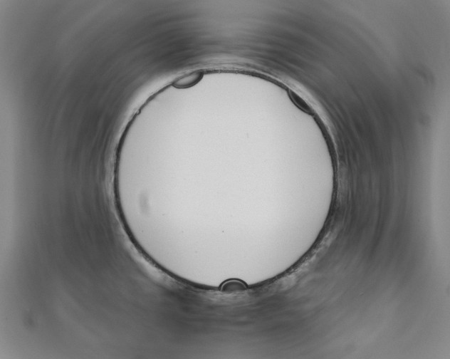 X0000111651437200908141241