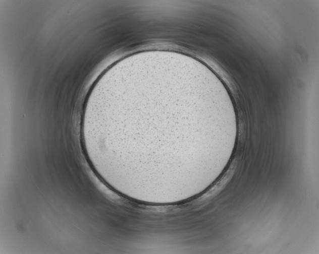 X0000111651438200908141241