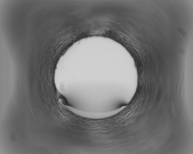X0000111651441200908141241