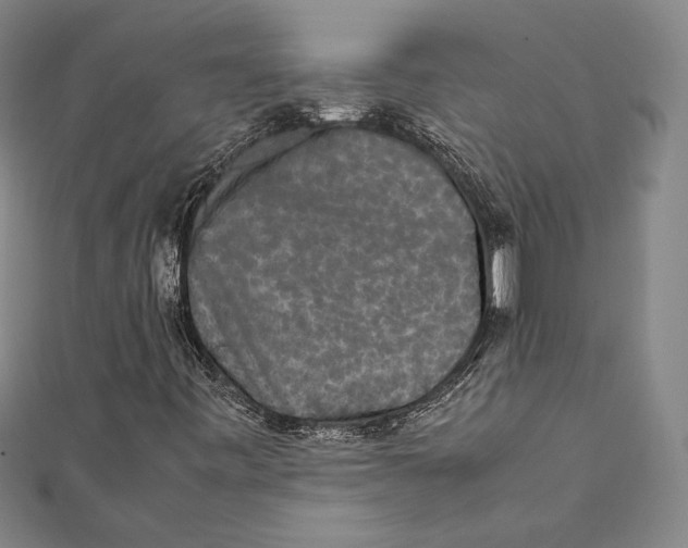 X0000111651443200908141241