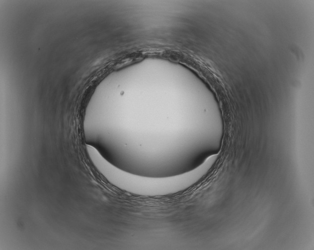 X0000111651445200908141241